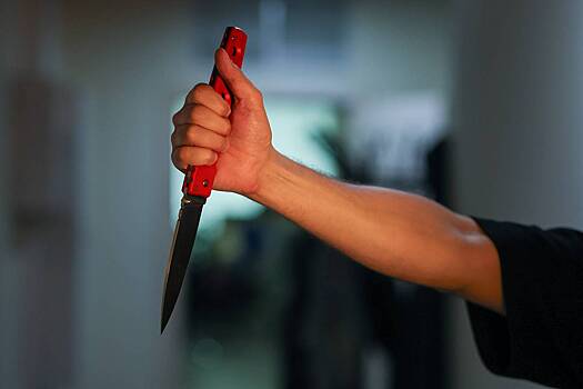 Российский подросток пришел с ножом в школу и напал на сверстника