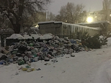 Саратовцы жалуются на горы отходов, дорогу к которым для мусорщиков расчистили