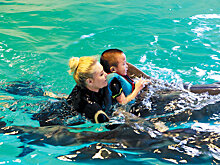 Дельфинотерапия в Сочи помогла маленькой иностранке с аутизмом