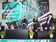 Итоги 2022 года: «Лаборатория Касперского» - о жизни в «цифровых джунглях»