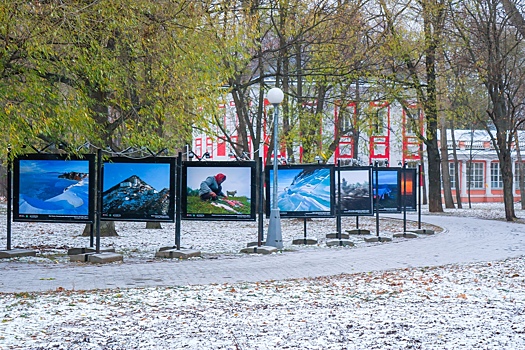 До 14 января будет работать фотовыставка «Моржи Воронцовского парка»