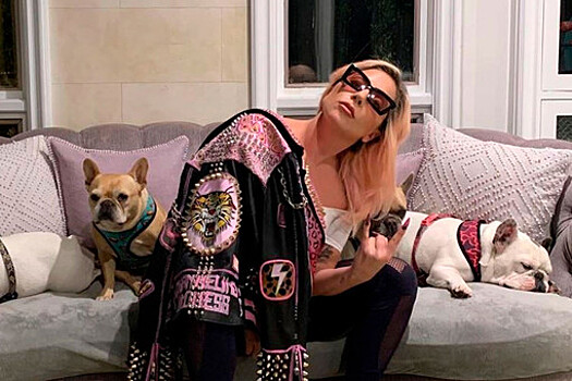 Певица Леди Гага выиграла суд на $500 тысяч против похитительницы ее собак