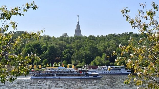 Открытые уроки по программе «Московское долголетие» проведут в 13 столичных парках
