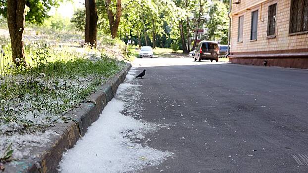 Чем опасен тополиный пух для автомобилистов