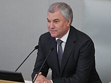 Володин назвал законопроекты из приоритетной повестки Госдумы