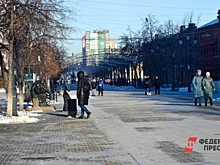 Мужчина в костюме осла вымогает деньги в центре Челябинска