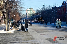 Мужчина в костюме осла вымогает деньги в центре Челябинска