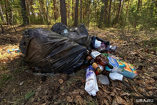 В Тюменской области лес завален мусором