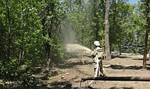В оздоровительных лагерях в Волгоградской области проводят пожарные учения