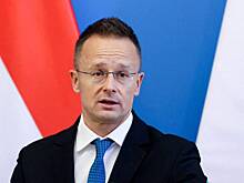 Глава МИД Венгрии заявил о нежелании Грузии быть второй Украиной