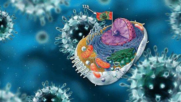 Биологи научились определять в организме клетки с ВИЧ