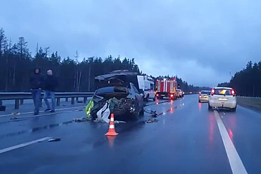 Появилось видео с места аварии в Ленобласти с выпавшим из машины телом