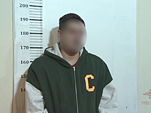 Сотрудники МВД России задержали подозреваемого в разбойном нападении на телепродюсера