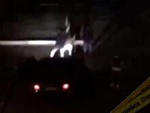 «Празднуя свои выходные, они решили, что все можно»