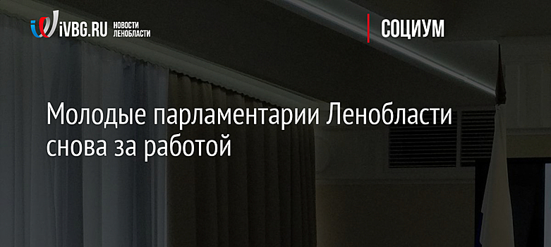 Молодые парламентарии Ленобласти снова за работой