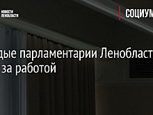 Молодые парламентарии Ленобласти снова за работой