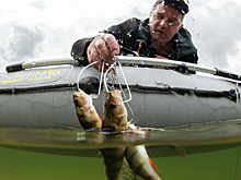 Эксперт прокомментировал новые правила рыбалки