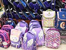 В соседнем с Татарстаном регионе просят отменить занятия в школах из-за морозов