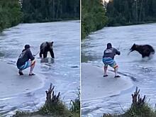 Косолапый воришка стащил улов у беспечного рыбака и попал на видео