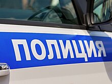 В Санкт-Петербурге задержан мужчина, стрелявший по роддому
