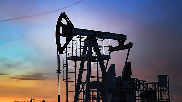 Индийские нефтезаводы приостановили закупки нефти из России