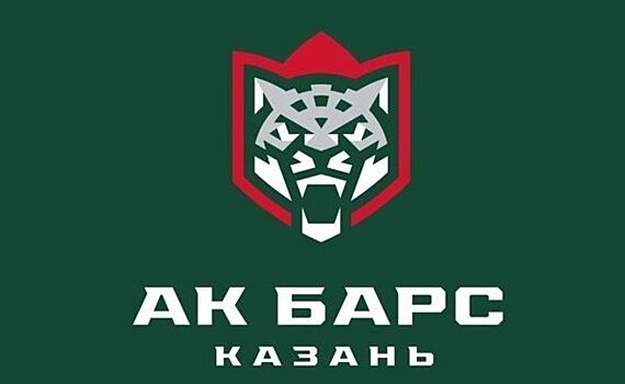ХК "Ак Барс" официально покинули шесть игроков, включая Бобкова и Линдхольма
