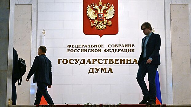 В Госдуме жестко ответили на идею увеличить в России лимит переработок