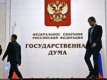 В Госдуме жестко ответили на идею увеличить в России лимит переработок