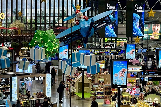 В аэропорту Сочи установили 25-метрового Деда Мороза на самолете