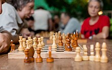 В ЦСО «Зюзино» и «Каховских ромашках» рассказали о шахматных турнирах в честь Международного дня шахмат