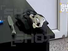 SHOT: в техникуме Архангельска, где юноша напал на людей, не было рамок на входе