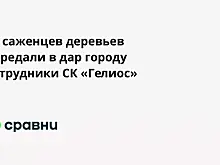 50 саженцев деревьев передали в дар городу сотрудники СК «Гелиос»