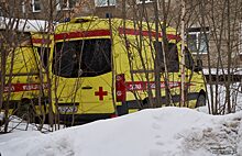 В Челябинске из психдиспансера забрали на скорой пациентку с пневмонией