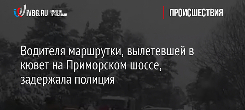 Водителя маршрутки, вылетевшей в кювет на Приморском шоссе, задержала полиция