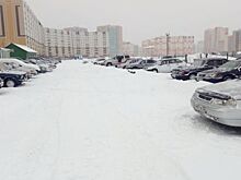Продажи на автомобильном рынке Барнаула остались на уровне января