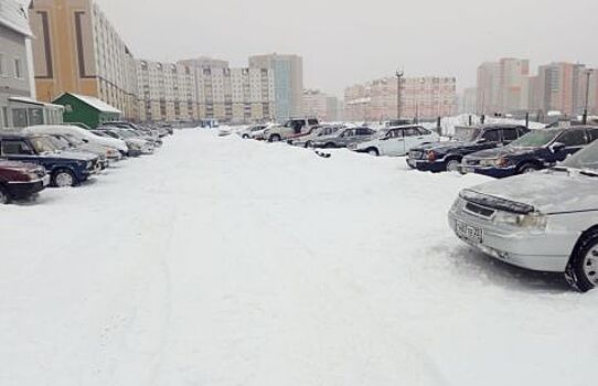 Продажи на автомобильном рынке Барнаула остались на уровне января