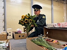 В Екатеринбург к началу учебного года привезли 210 тонн импортных цветов