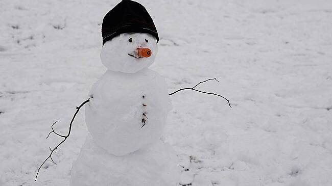 Убирающий улицы Меладзе спас снеговика в российском городе