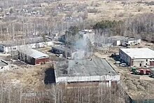 СМИ: Хабаровчане жалуются на запах от горящих свиней