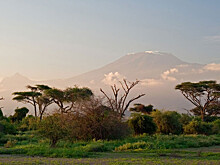 В Замбии, Танзании и Эфиопии пройдет фестиваль российской культуры