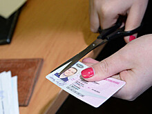 Подорожание отменяется: надо ли менять права