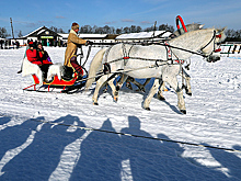 За девять месяцев сборы от турналога составили 5,5 млрд рублей