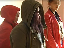 Прокуратура проверила условия содержания хабаровских живодерок