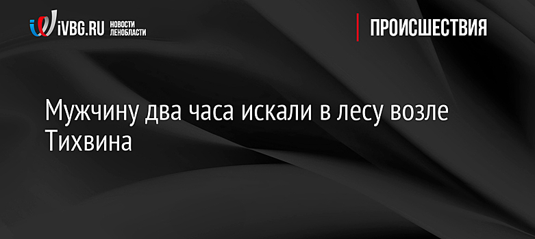 Мужчину два часа искали в лесу возле Тихвина