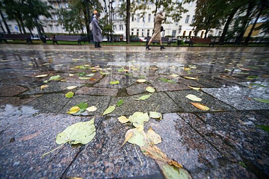Москвичам пообещали дискомфортную погоду