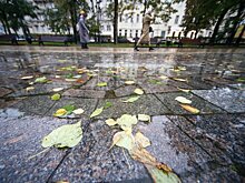 Москвичам пообещали дискомфортную погоду