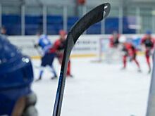 Одну из улиц Нижнего Новгорода могут назвать в честь хоккеиста Скворцова