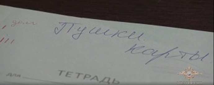 В Пермском крае сотрудники полиции пресекли схему мошенничества, связанную с «Пушкинскими картами»