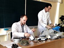 Метод прогнозирования риска лесных пожаров по соотношению хвоинок и мха разрабатывают ученые АГАУ