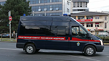 В Москве возбудили дело после гибели ребенка под колесами Range Rover
